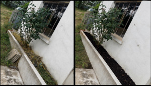 Photo de galerie - Avant après d’une jardinière 