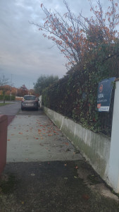 Photo de galerie - Jardinage 