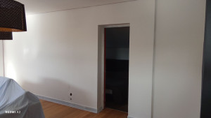 Photo de galerie - Ratissage d'un mur + mise en peinture 