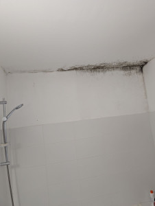 Photo de galerie - Ménage