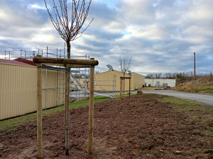 Photo de galerie - Jardinier