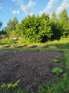 Photo de galerie - Mise en état d'un potager , je suis passionné du jardin 