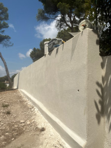 Photo de galerie - Peinture / Enduit