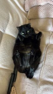 Photo de galerie - Gayette en plein sport 