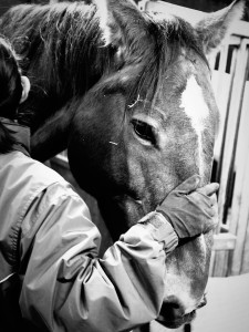 Photo de galerie - Photographe