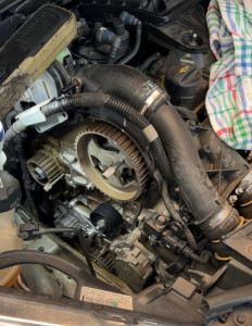 Photo de galerie - Distribution