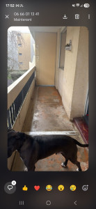 Photo de galerie - Fin du débarras