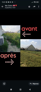 Photo de galerie - Gros débroussaillage et tonte sur petite partie 