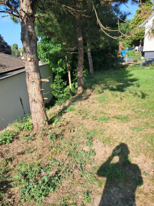 Photo de galerie - Clôture Grillage