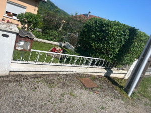 Photo de galerie - Taille de haies et d'arbustes