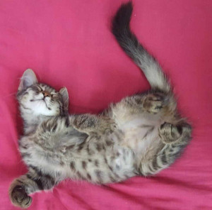 Photo de galerie - Sieste profonde