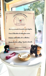 Photo de galerie - Garde d’animaux, éducation et rééducation canine , promenade. 