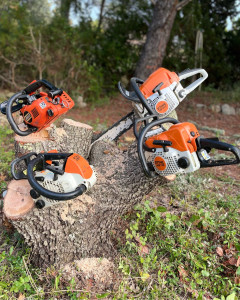 Photo de galerie - Tronçonneuses