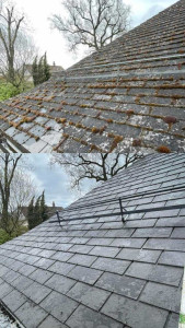 Photo de galerie - Nettoyage de toiture 