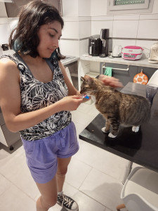 Photo de galerie - ça c'est Dune la sœur de Roméo c'est un vrai petit ange sur la photo je lui ai donné un médicament que ça maman m'avait demandé de lui administrer. Elle s'est laissée faire très facilement. 