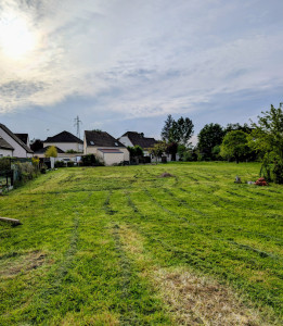 Photo de galerie - Tonte-débroussaillage terrain de 1000m2