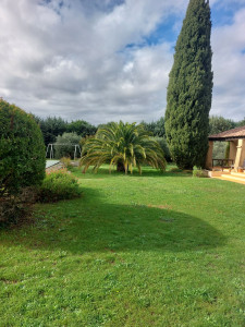 Photo de galerie - Tonte pelouse