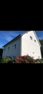 Photo de galerie - Peinture - Tapisserie