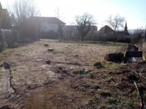 Photo de galerie - Elagage et coupe d'arbres