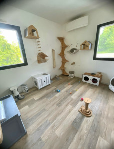 Photo de galerie - Je garde chez vous ou chez moi dans un cadre agréable votre ou vos chats et chatons. partez en vacances tranquille ?