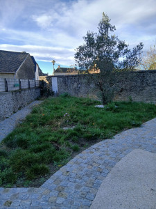 Photo de galerie - Tonte de pelouse - Débroussaillage