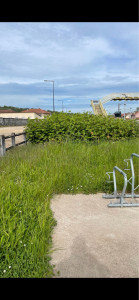 Photo de galerie - Tonte de pelouse - Débroussaillage