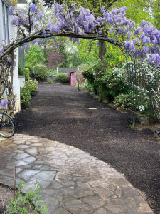 Photo de galerie -     Scarification, semis et apport de terreau réalisés, en attente de la repousse.