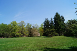 Photo de galerie - Entretien et ou remise en forme de terrain 