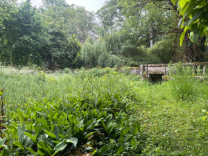 Photo de galerie - Jardinier