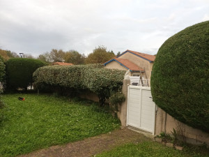 Photo de galerie - Taille de haie apres
