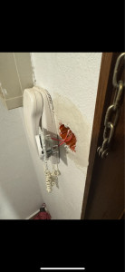 Photo de galerie - Finition boîte d’encastrement interrupteur 
