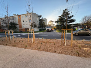 Photo de galerie - Création 