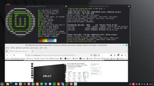 Photo de galerie - Vieux PC DELL XPS initialement avec windows 7.
Installé:
Linux Mint 22.3 Cinnamon
Avec DD SSD PNY CS900 240Go
Appli: 
whatsapp, Firefox, LibreOffice, Thunderbird, Spotify, VLC, Teams, etc...
PC ramait prodigieusement sous W 10 maintenant navigation fluide