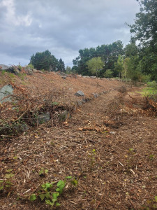 Photo de galerie - Débroussaillage 