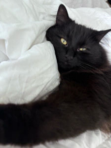 Photo de galerie - . 