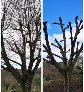 Photo de galerie - Bonjour travaux effectués plus ramassage