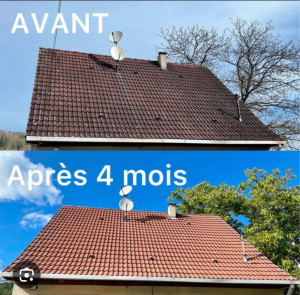 Photo de galerie - Traitement toiture effectuée par une méthode douce et efficace 