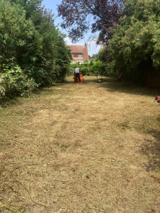 Photo de galerie - Débroussaillage complet 400m2