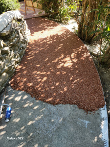 Photo de galerie - Réalisation d'un chemin en moquette de pierre