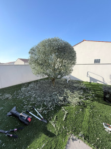 Photo de galerie - Taille de haies et d'arbustes