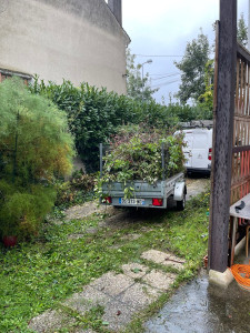 Photo de galerie - Taille de haies et d'arbustes