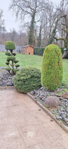 Photo de galerie - Paysagiste - Aménagement du jardin