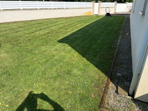 Photo de galerie - Tonte de pelouse 300m2 