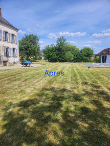 Photo de galerie - Tonte de pelouse - Débroussaillage