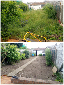 Photo de galerie - Mise au propre d'un jardin n'ayant pas été entretenu pendant 1 an 