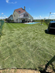 Photo de galerie - Pose de gazon en plaque   préparation du terrain / ratissage nivelage de la terre / et pose des plaques de gazons  