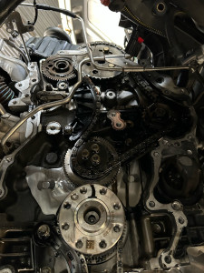 Photo de galerie - Distribution chaîne 