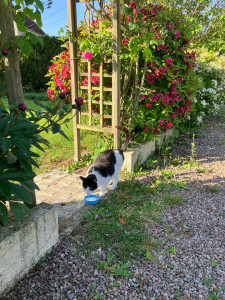 Photo de galerie - Visite de Bounty 