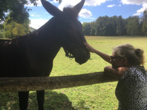 Photo de galerie - Vallée de Chevreuse