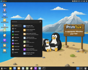 Photo de galerie - Cours sur le dépannage informatique installation linux 